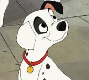 次に来るマイツム予想!2015年一発目は??