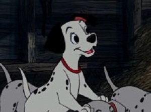 次に来るマイツム予想!2015年一発目は??